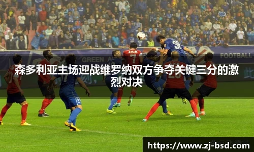森多利亚主场迎战维罗纳双方争夺关键三分的激烈对决