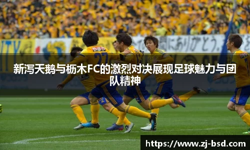 新泻天鹅与枥木FC的激烈对决展现足球魅力与团队精神